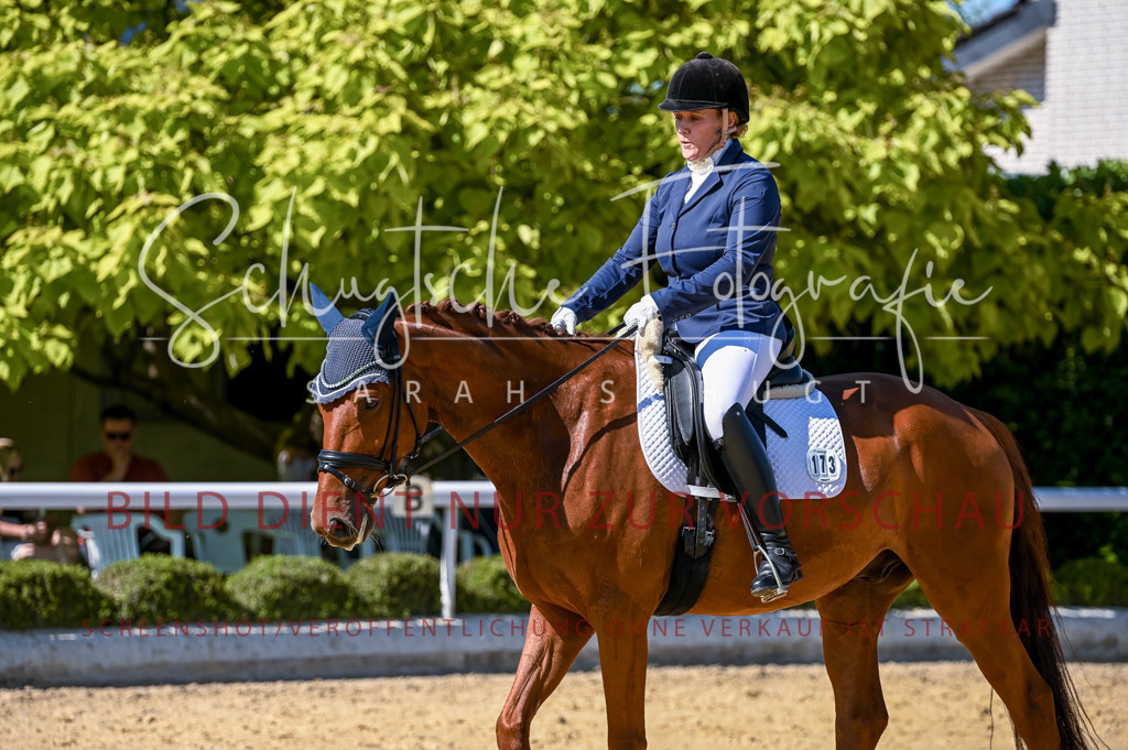 Schugtsche-Aluta25-50.Dressurpferdeprf.L-129 | Schugtsche Fotografie - Realisiert mit Pictrs.com