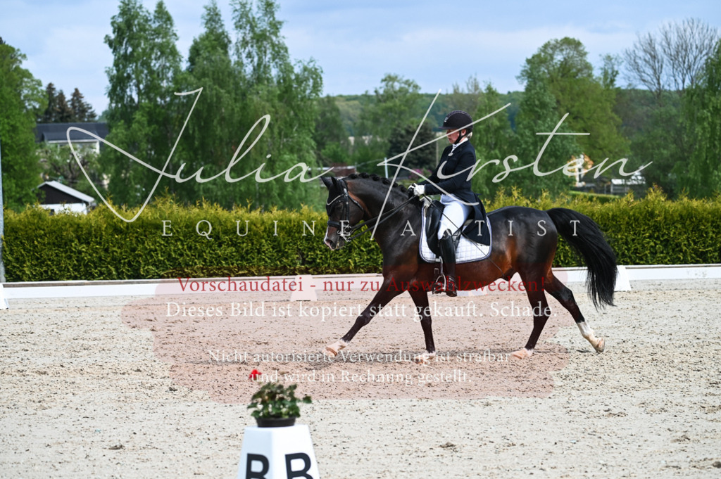 20230513_JK-Röhrsdorf-12-350 | Pferde- und Turnierfotografie in Westsachsen. Pferdeportraits, Auftragszeichnungen und intuitive Kunst.