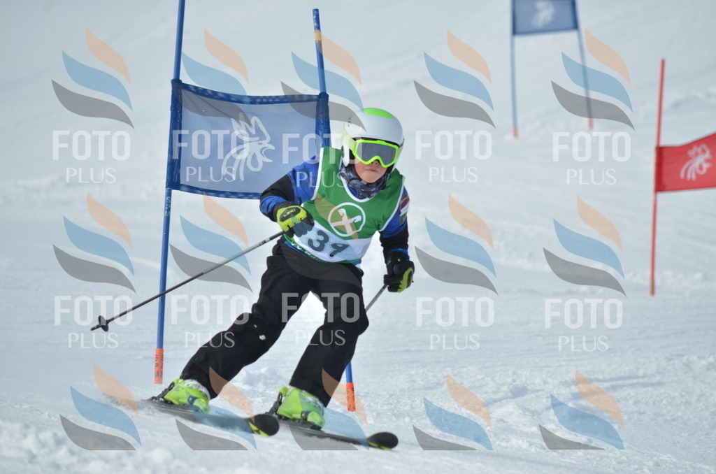 D8698 | holidayphoto