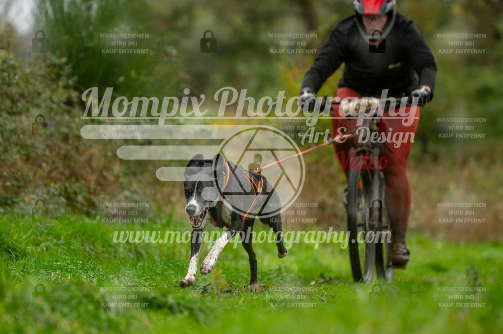 TSB_2023_E6_Bike-35 | PayLife