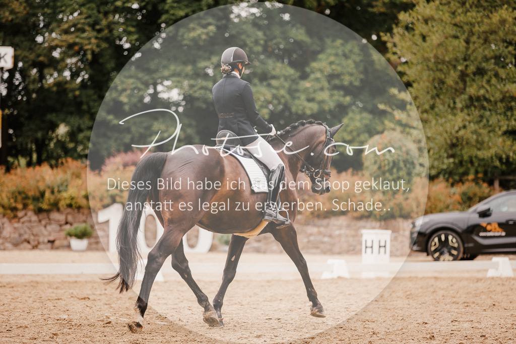 3I6A5859 | Stimmungsvolle Portraits und Reitsportfotografie im Ruhrgebiet und im Münsterland.

Pferdefotografie, Hundefotografie, Tierfotografie, Reportagen, Portraits von Tier und Mensch, Turnierfotografie in Bochum, Recklinghausen, Marl, Haltern am See, Dülmen.. - Realisiert mit Pictrs.com
