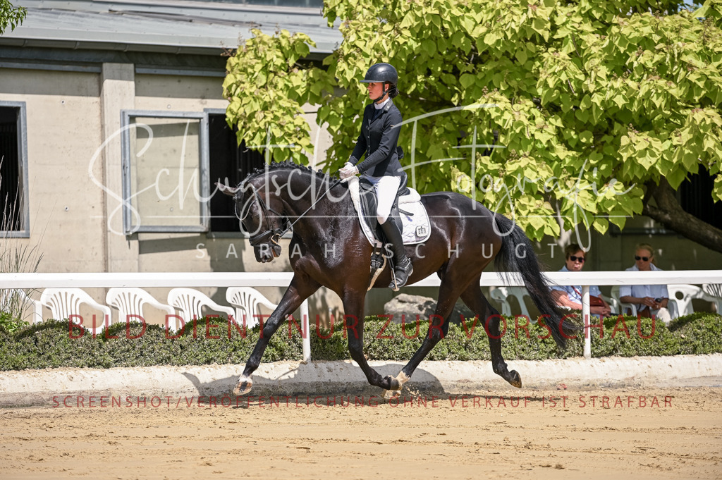 Schugtsche-Aluta25-48.Reitpferfdeprf.-185 | Schugtsche Fotografie - Realisiert mit Pictrs.com