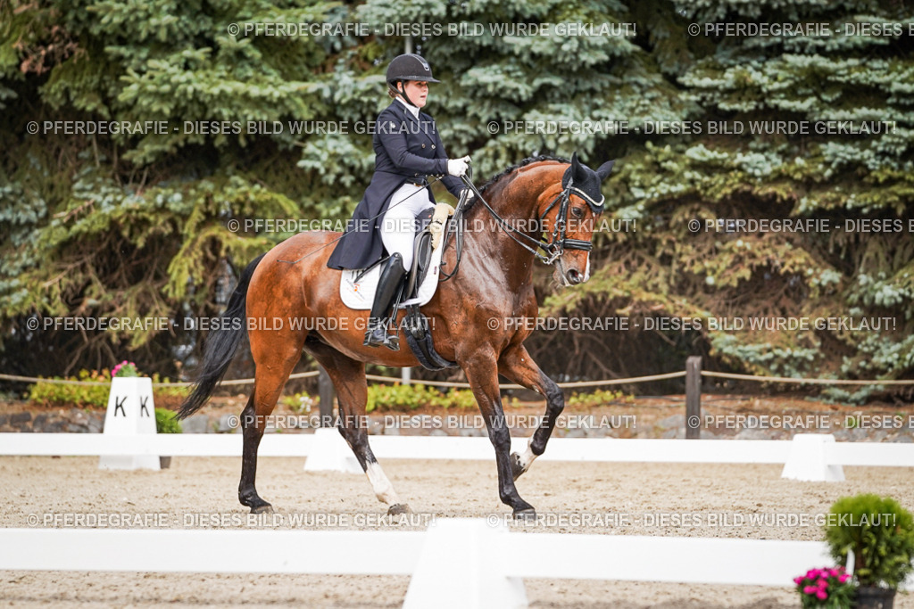 DSC06575 | Pferdegrafie