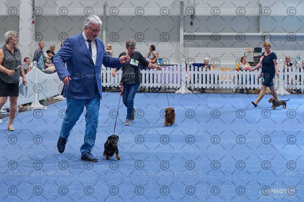 202406_ÖKV-IHA-Tulln24_DSC_4994 | proPHOTO - Realisiert mit Pictrs.com