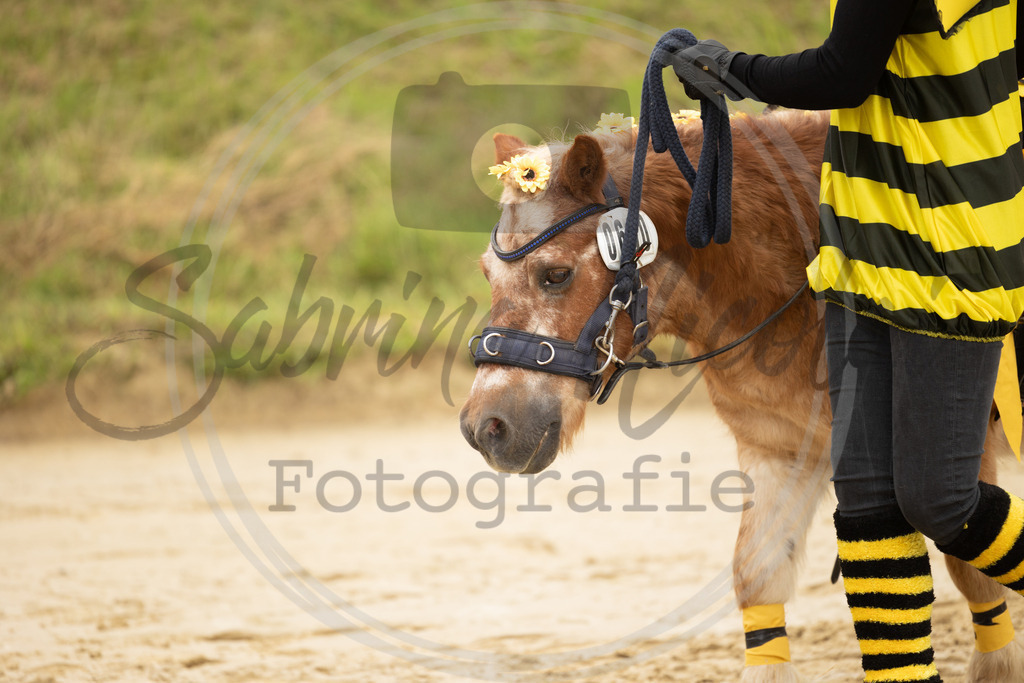 994A9595 | sabrinanicolaifotografie - Realisiert mit Pictrs.com