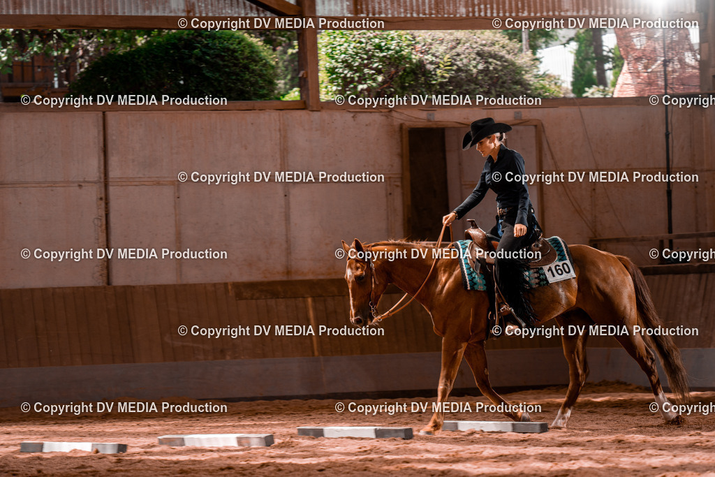 NE100611 | dv-media-shop - Realisiert mit Pictrs.com