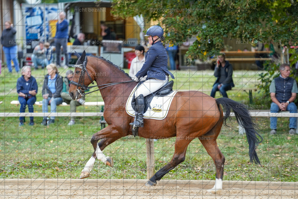 20231007-SN_00851 | Professionelle Turnier- und Reitsportfotografie - mit dem Finger am Auslöser. Pferdebilder aus dem Reitsport von den Turnierfotografen  Bayern , Pferdefotograf Bayern, Pferdeshooting Turnierbilder, Hochzeitsfotograf, Eventfotograf, Hochzeitsbilder