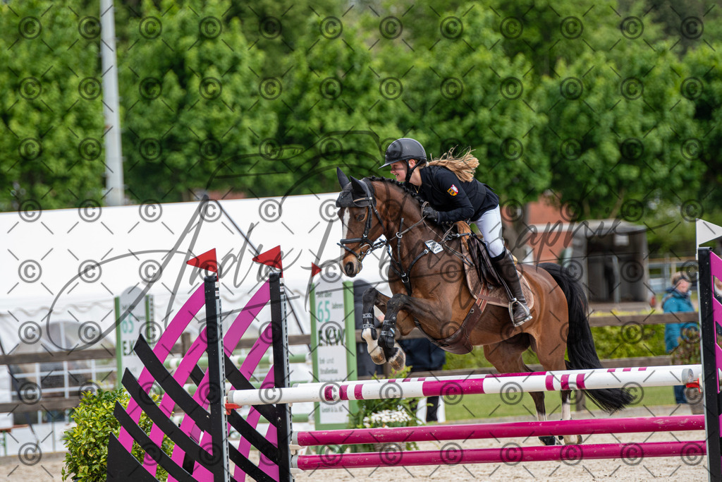 KPT_8965 | andre_photographic