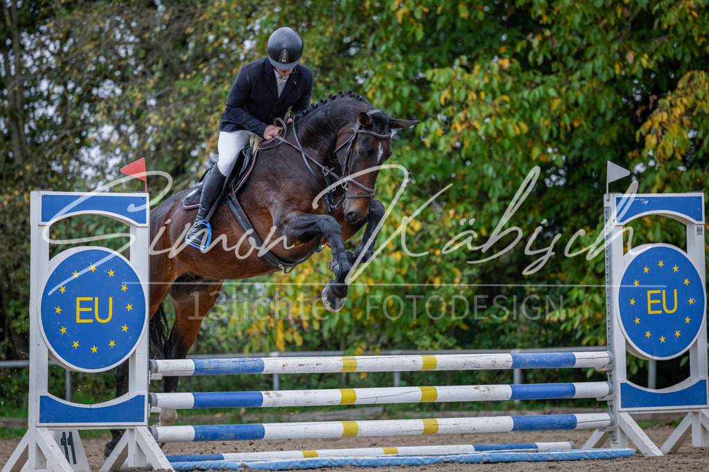 20251012-_3LI3833 | Tierfotografie Pferde, Hunde, Katzen, Haustiere.
Turnierfotografie Reitturniere, Reiten, Springreiten, Dressur in Hanau, dem Main-Kinzig-Kreis und dem Rhein-Main- Gebiet um Frankfurt