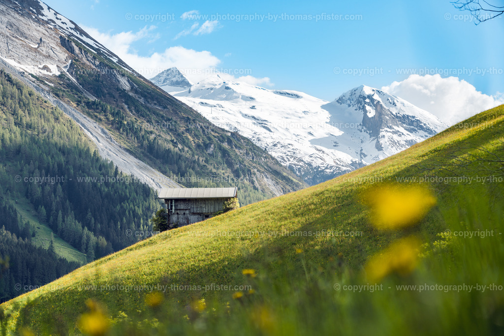 Madseit im Tuxertal Frühling copyright  Thomas Pfister-2 | PHOTOGRAPHY BY THOMAS PFISTER