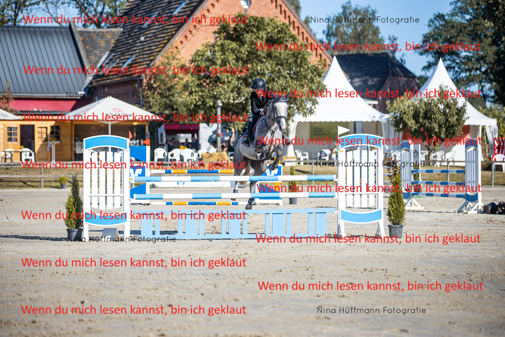 BK1A6005 | Turnierbilder Turnierfotos Nina Hüffmann Turnierfotografie Pferdefotografie Tierzeichnung Haustierzeichnung Pferdezeichnung Hundezeichnung Videograf  - Realisiert mit Pictrs.com