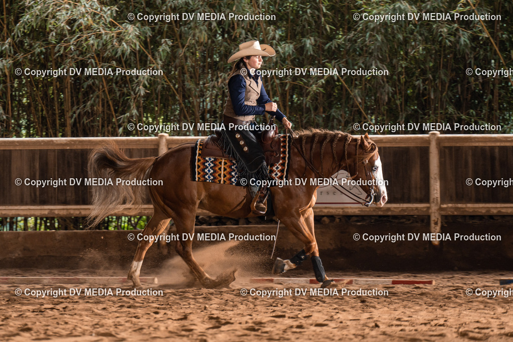 Erbach Tag 2-618 | dv-media-shop - Realisiert mit Pictrs.com