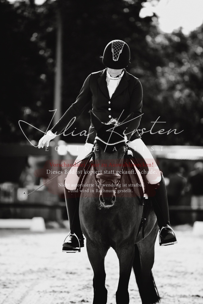DSC_0419 | Pferde- und Turnierfotografie in Westsachsen. Pferdeportraits, Auftragszeichnungen und intuitive Kunst.
