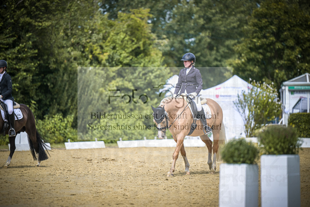 DOS_4047 | Entdecke hochwertige Reitturnierfotos von Foto Oger. Professionell, emotional und authentisch – jetzt Lieblingsmomente im Shop bestellen.Deutschlandweite Turnierfotografie. - Realisiert mit Pictrs.com