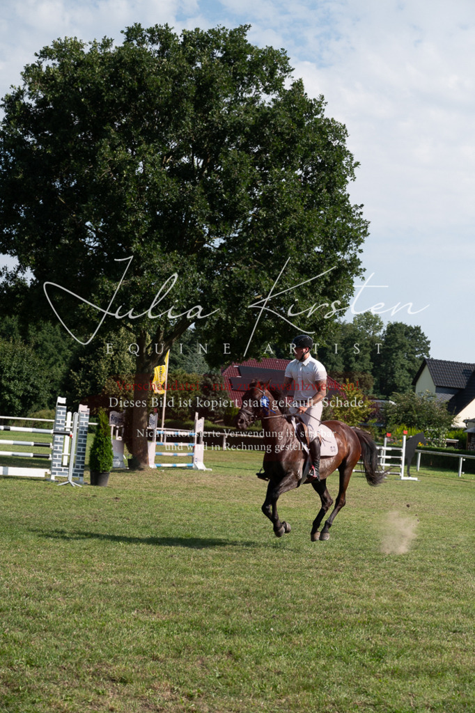 DSC_1045 | Pferde- und Turnierfotografie in Westsachsen. Pferdeportraits, Auftragszeichnungen und intuitive Kunst.