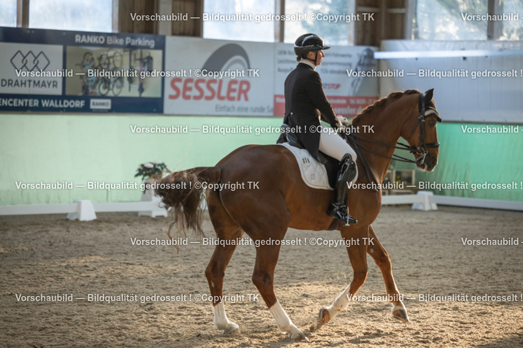 _D5A0857 | Emotionale Pferde- & People-Fotografie rund um Heidelberg, Leimen & Umgebung. Natürliche Fotos von Pferd, Mensch & Familie. Jetzt Termin sichern!