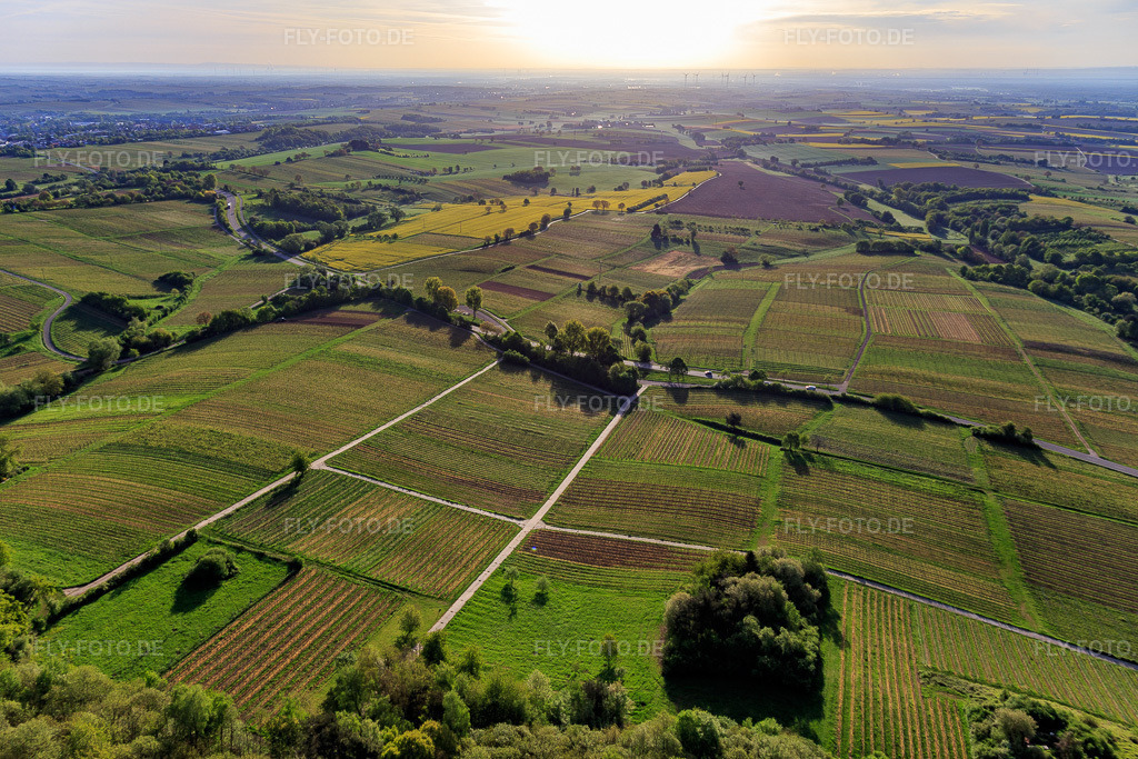 Luftbild: Weinberge der Südpfalz aus Westen im Frühling in Dörrenbach im Bundesland Rheinland-Pfalz in Deutschland. Foto: IMG_106996.jpg vom 27.04.2018 durch Werner Riehm/FLY-FOTO.de