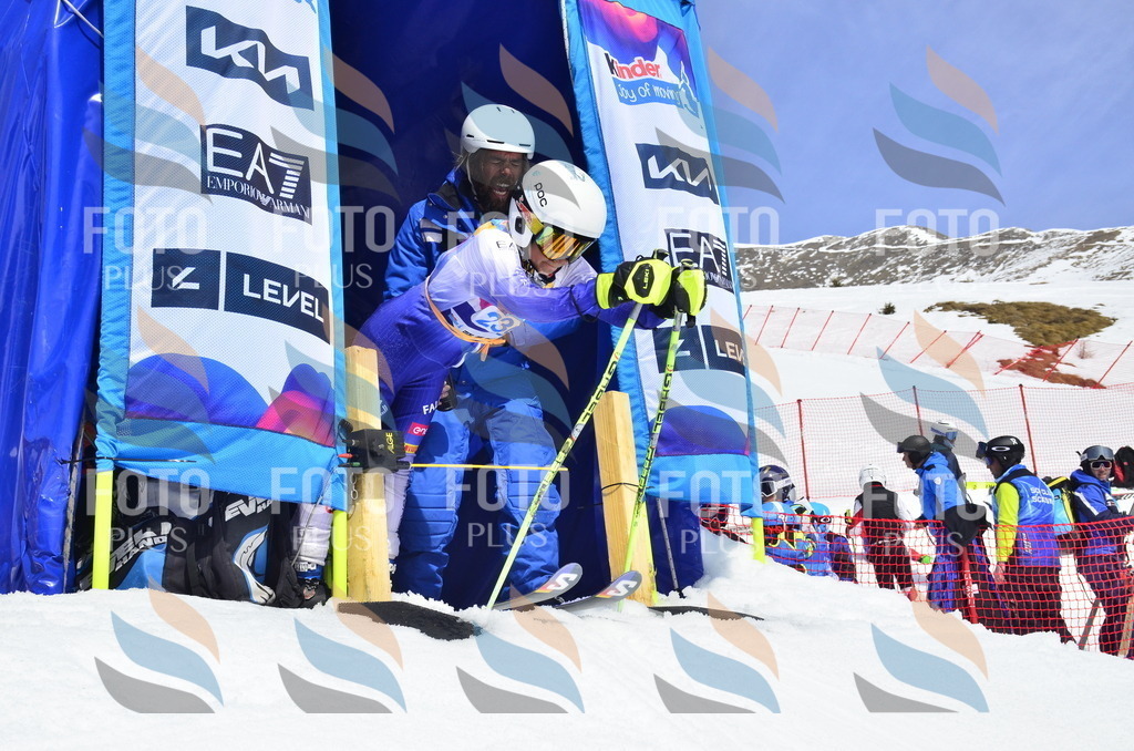 _ELE1691 | holidayphoto