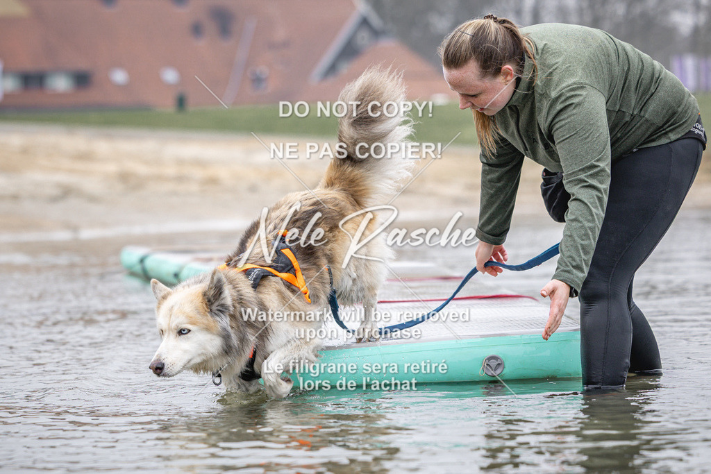 nelerasche_Hulsbeek_Sa1030-1100_560 | nelerasche