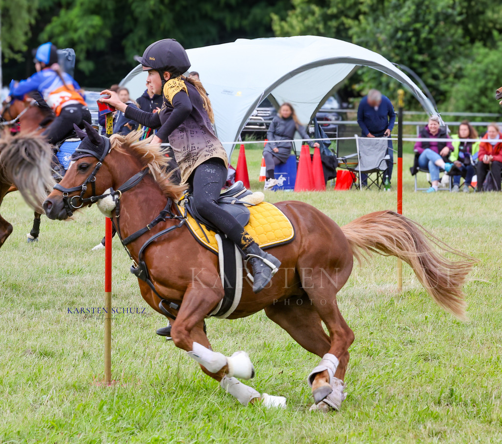 1B3A1024 | Reitsport Reiten