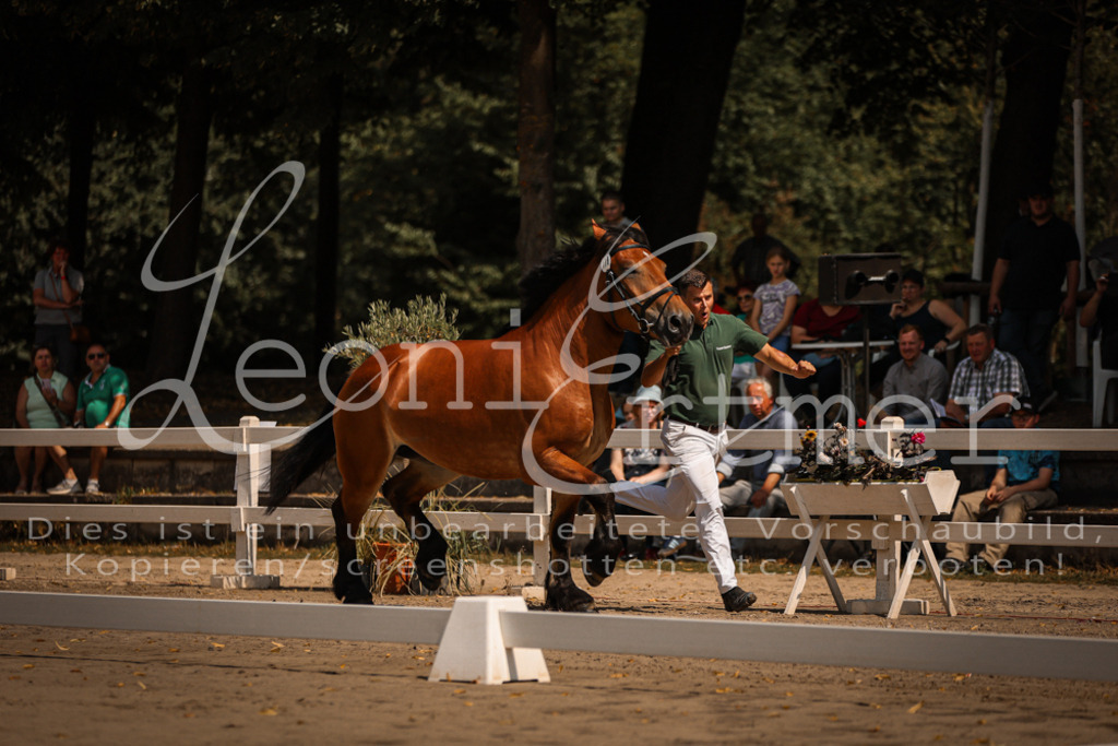 1.Sa00006 | Leoni Ertmer Photography - Realisiert mit Pictrs.com