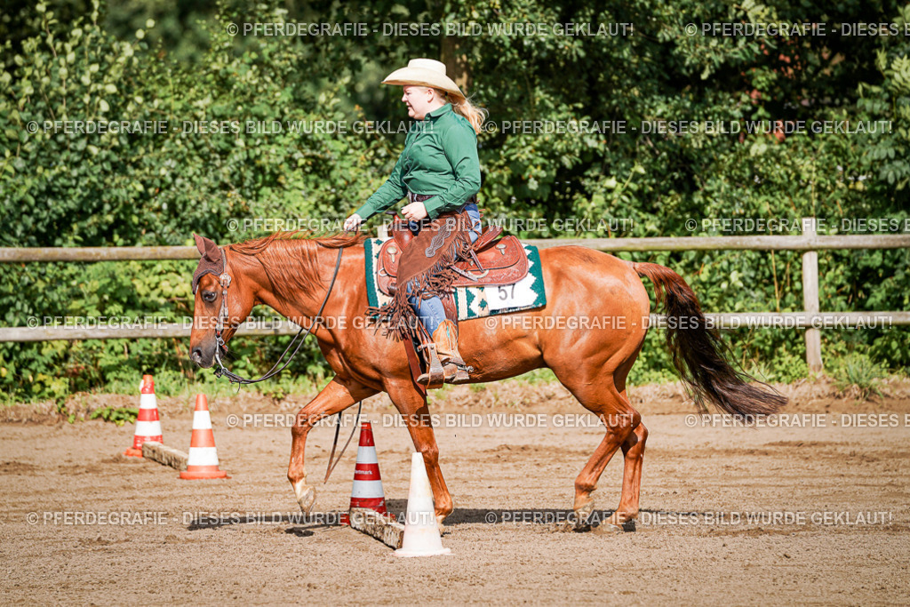 DSC00128 | Pferdegrafie