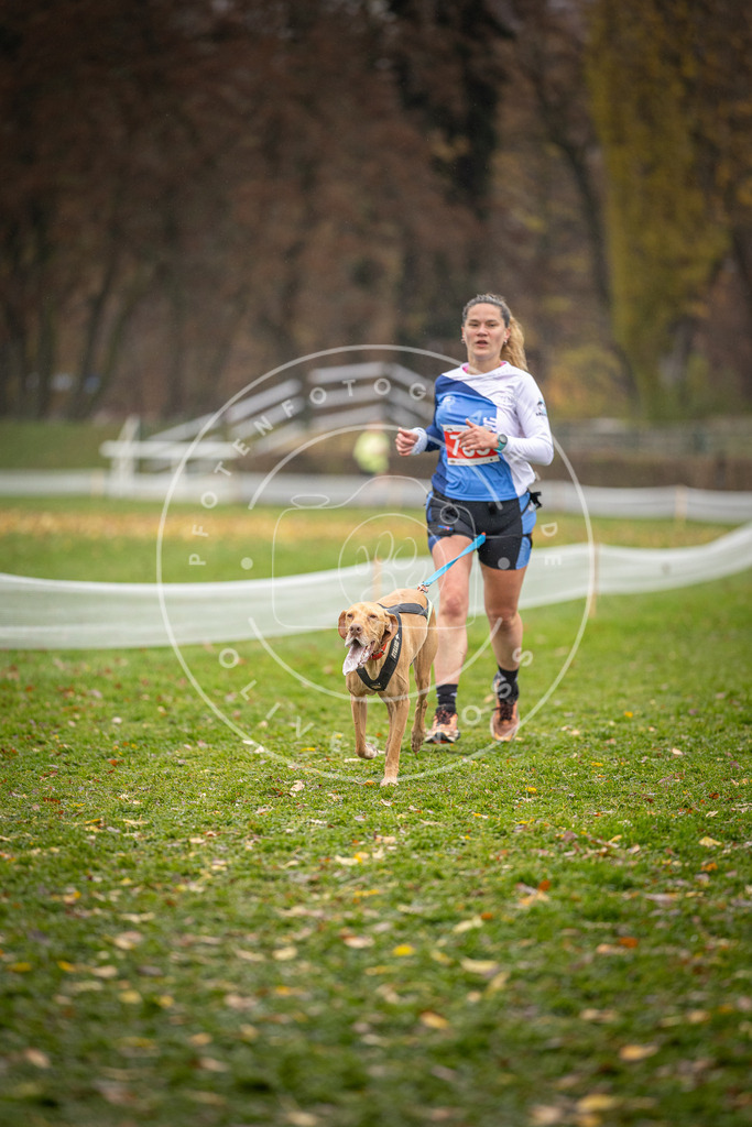 CaniXpix_DV3A9403 | Hundefotografie, Tierfotograf, Pfotenfotografie, Fotoshooting Hund, Hunde Portrait, Hundesport, Hundeportraits, Heideshooting, Hunde, Sportfotograf, Hundefotograf, Turnierhundsport, THS,  - Realisiert mit Pictrs.com