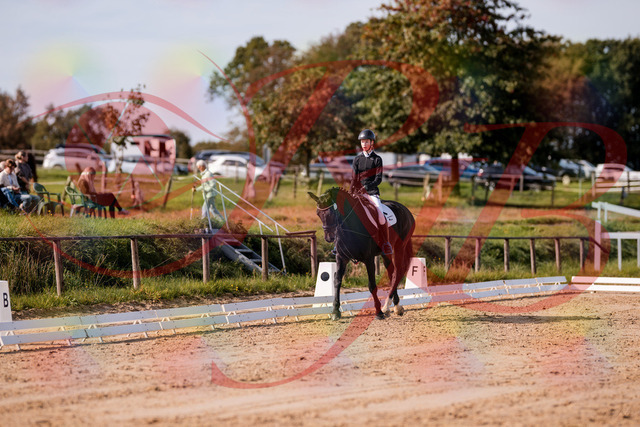 2026_10_03_Siefer-Hof_115628_Z81_97521894 | Professionelle Reitsport-, Turnier- und Eventfotografie von Robert Broda. Galerien mit ausgewählten und bearbeiteten Bildern direkt online ansehen und bestellen.