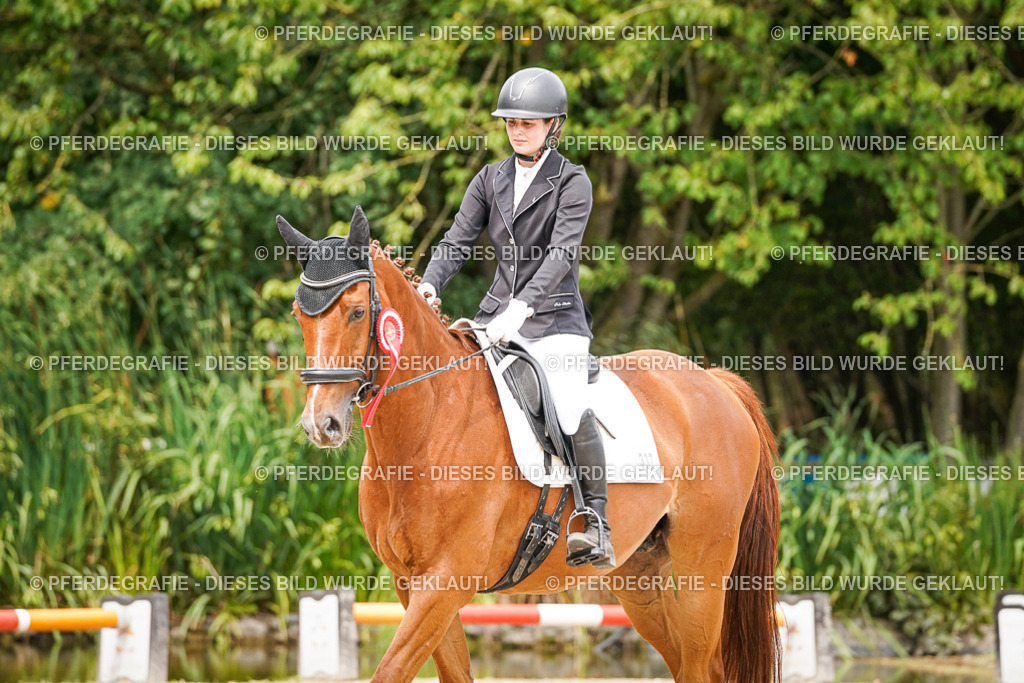 DSC04684 | Pferdegrafie