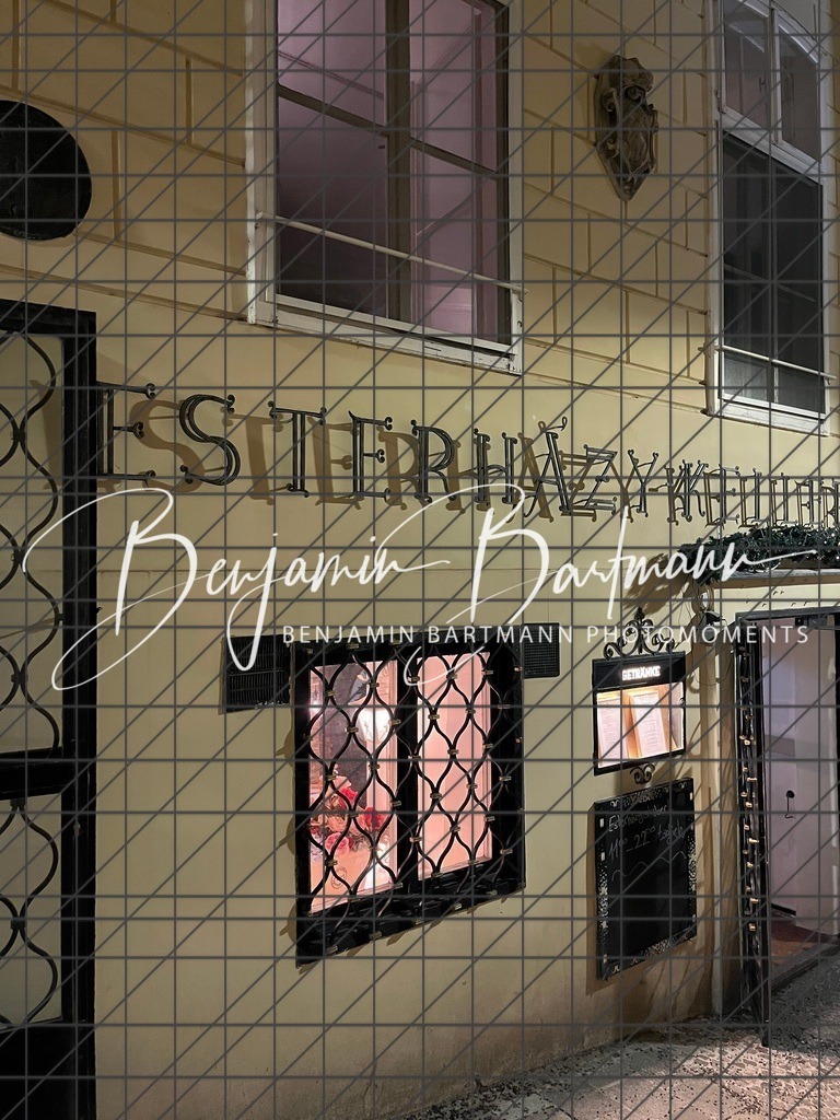 IMG_1022 | Benjamin Bartmann Photomoments