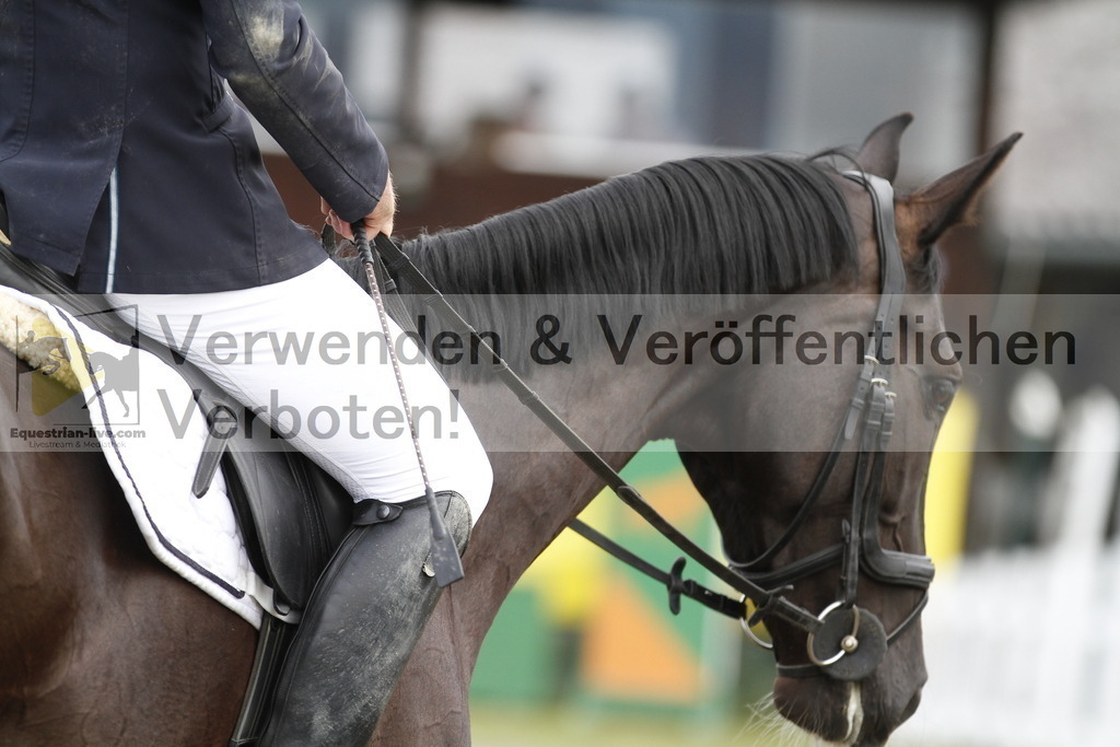 _MG_9822 | equestrian-live-com