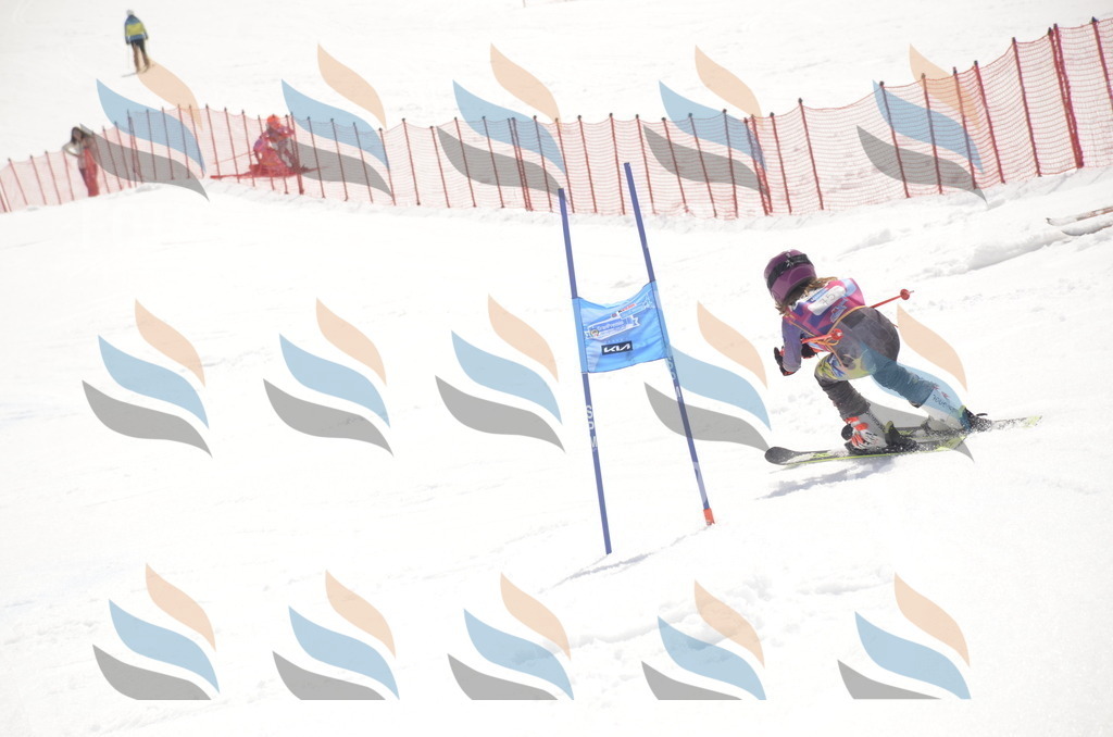 _ELE9162 | holidayphoto