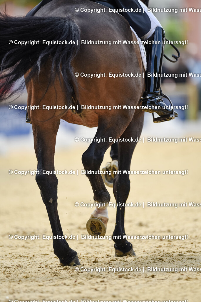20250607_1_GP-Tour_Dressage_0133 | Foto: Thomas Hartig