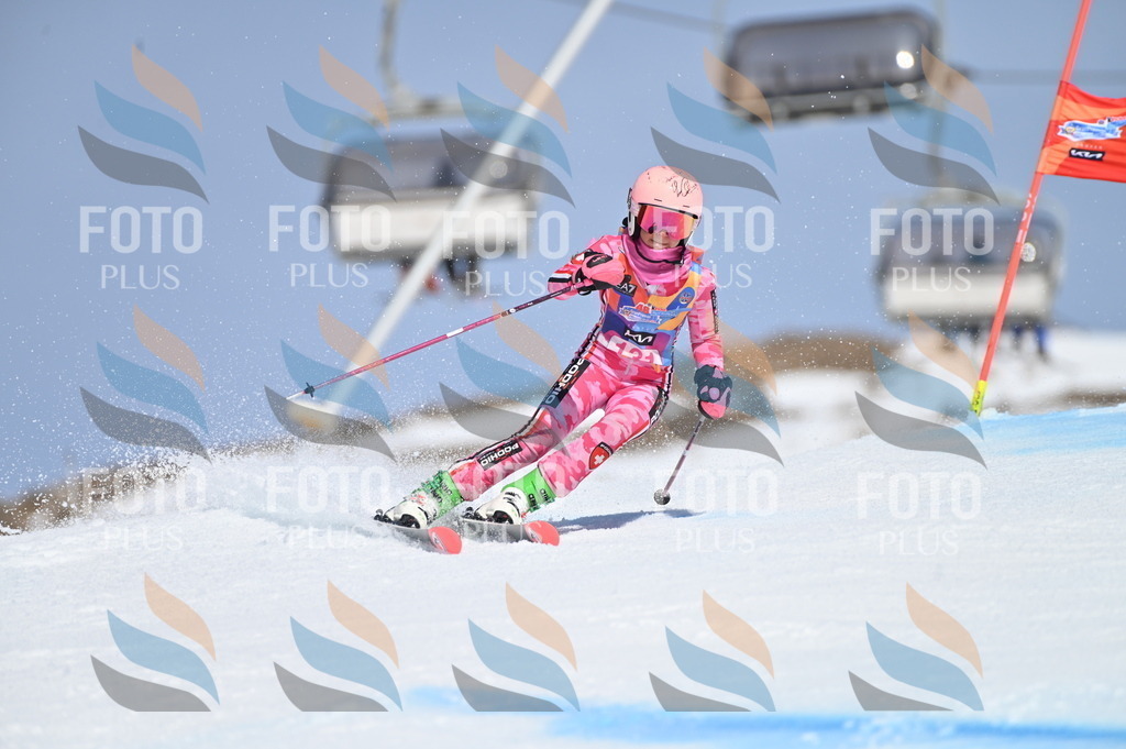 BGV_9997 | holidayphoto