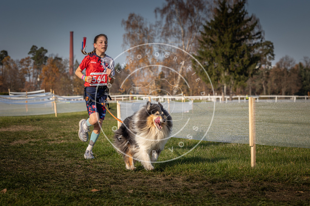CaniXpix_0L8A9387 | Hundefotografie, Tierfotograf, Pfotenfotografie, Fotoshooting Hund, Hunde Portrait, Hundesport, Hundeportraits, Heideshooting, Hunde, Sportfotograf, Hundefotograf, Turnierhundsport, THS,  - Realisiert mit Pictrs.com
