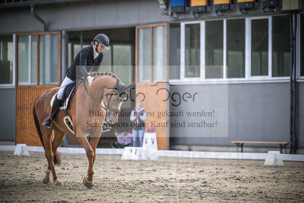 DOS_1130 | Entdecke hochwertige Reitturnierfotos von Foto Oger. Professionell, emotional und authentisch – jetzt Lieblingsmomente im Shop bestellen.Deutschlandweite Turnierfotografie. - Realisiert mit Pictrs.com
