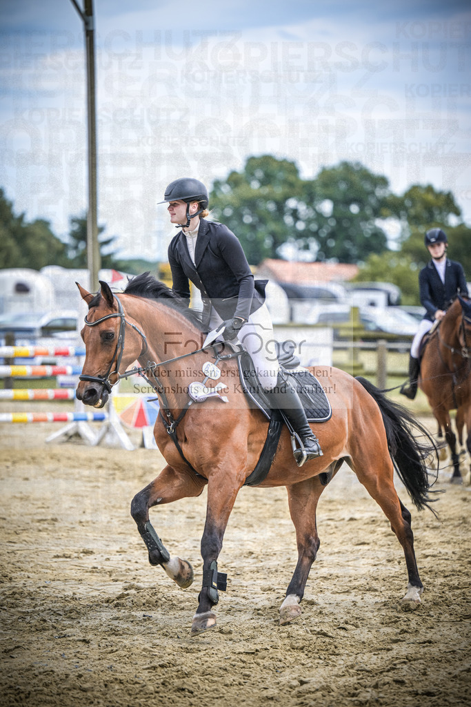 DOS_5313 | Entdecke hochwertige Reitturnierfotos von Foto Oger. Professionell, emotional und authentisch – jetzt Lieblingsmomente im Shop bestellen.Deutschlandweite Turnierfotografie. - Realisiert mit Pictrs.com