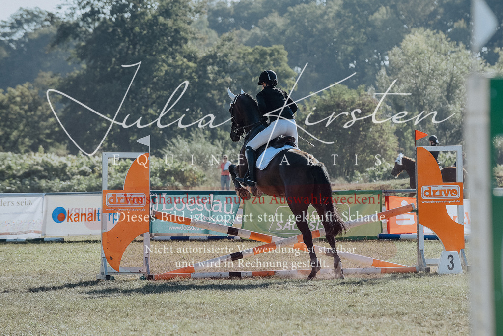 DSC_5630 | Pferde- und Turnierfotografie in Westsachsen. Pferdeportraits, Auftragszeichnungen und intuitive Kunst.