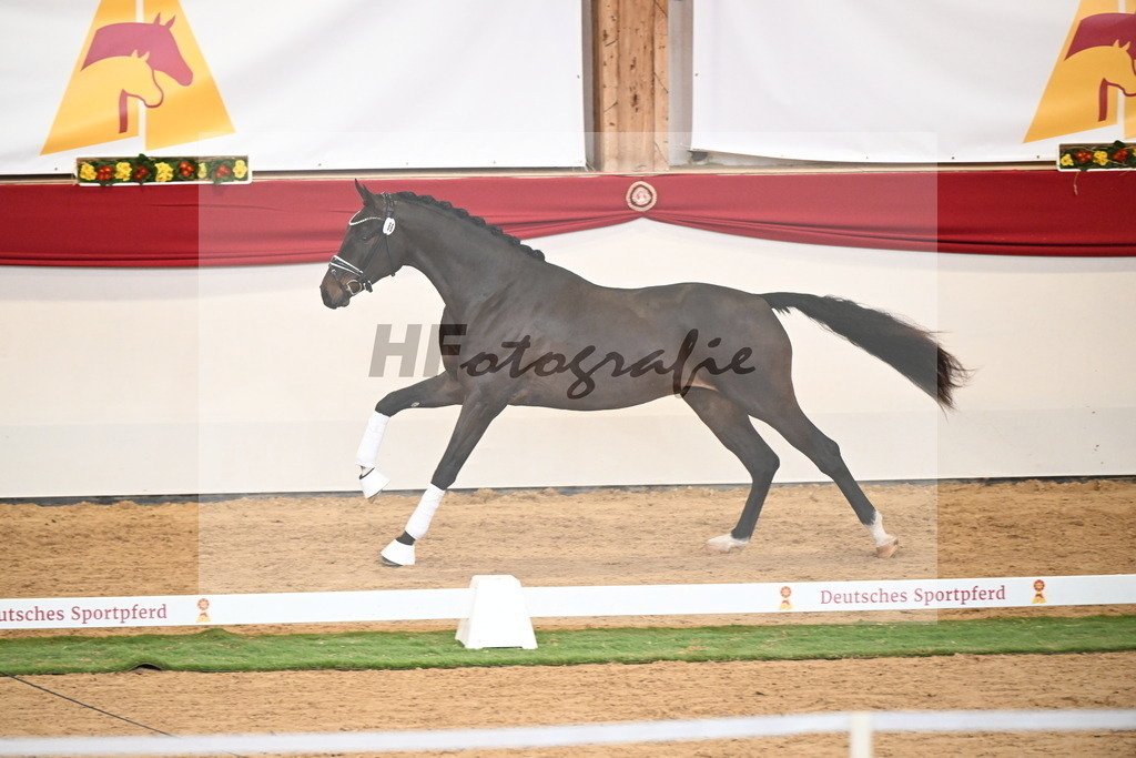 Kat.-Nr. 66 v. Fürstenball_Höchsmann_2250472 | hf-fotografie - Realisiert mit Pictrs.com