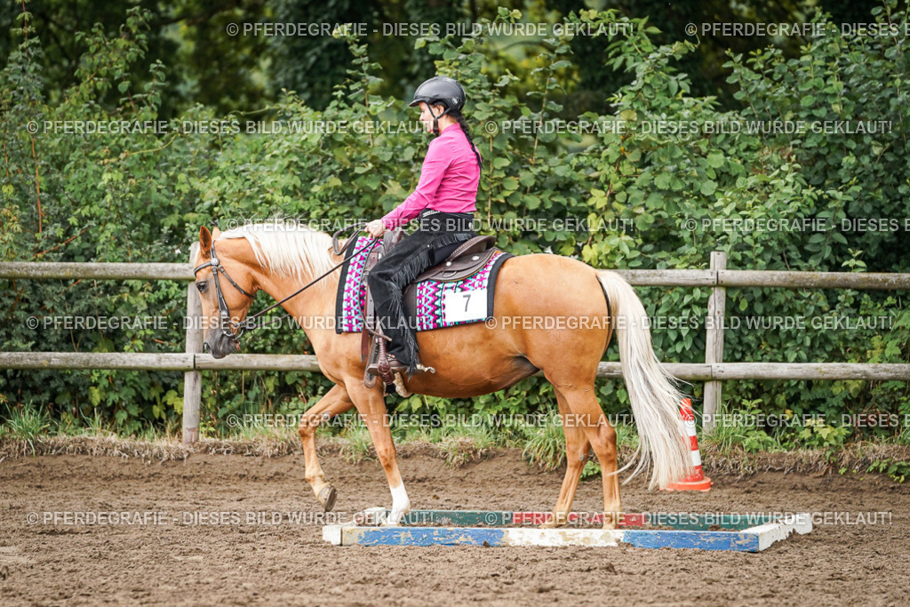 DSC03798 | Pferdegrafie