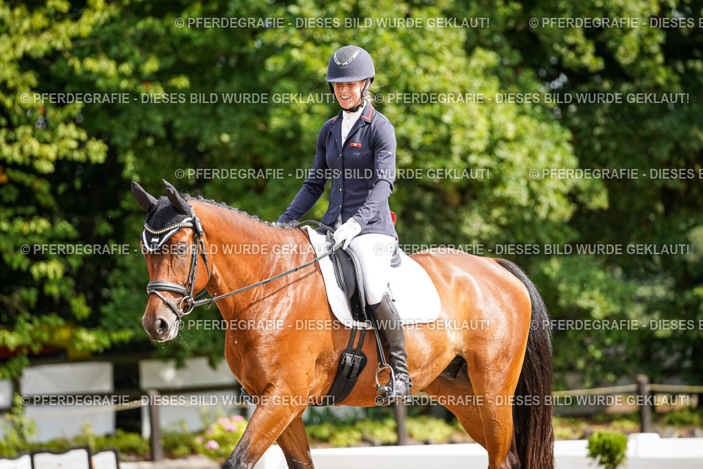 DSC07592 | Pferdegrafie