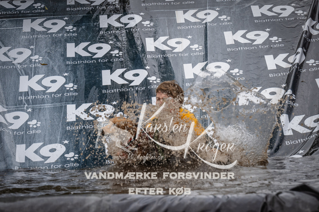 1253_ZZ90770 | kk-dogfotos