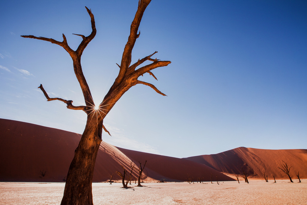 Deadvlei | The trees in Deadvlei are dead but won't rot as it is too dry. - Realisiert mit Pictrs.com