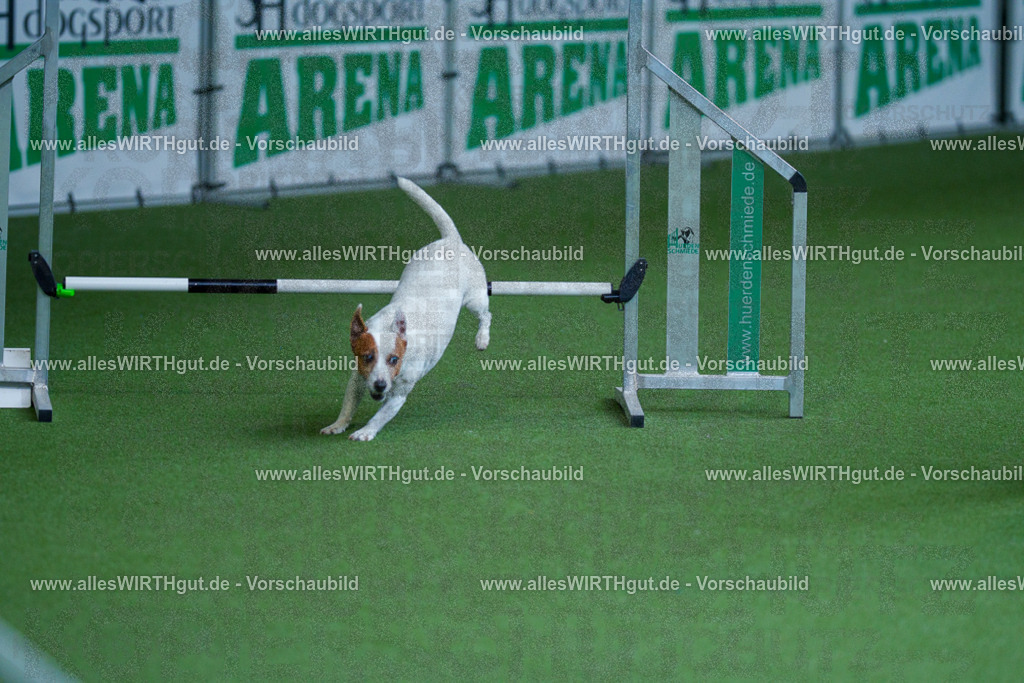 @allesWIRTHgut_Tierfotografie - www.allesWIRTHgut.de - 2604261329-7R501971 | Professionelle Tierfotografie in Mönchengladbach von Daniel Wirth (allesWIRTHgut). Liebevolle & natürliche Bilder von Hunden & Katzen für unvergessliche Erinnerungen.