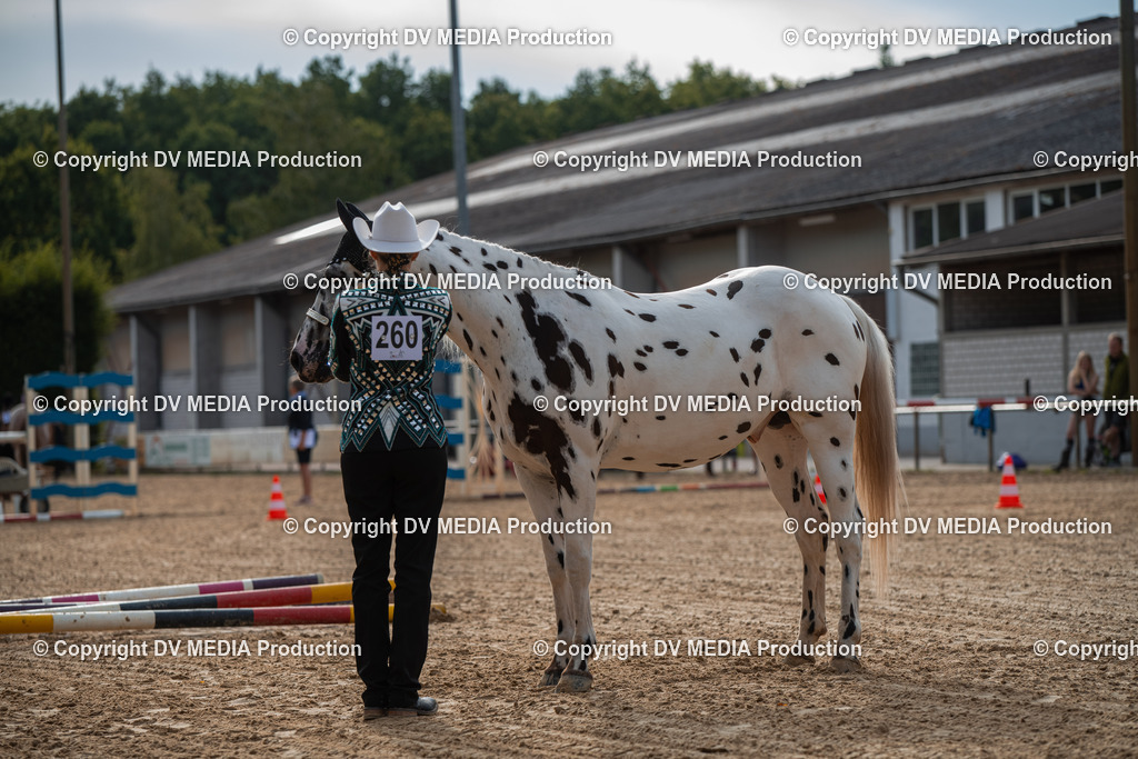 EWP_5590 | dv-media-shop - Realisiert mit Pictrs.com