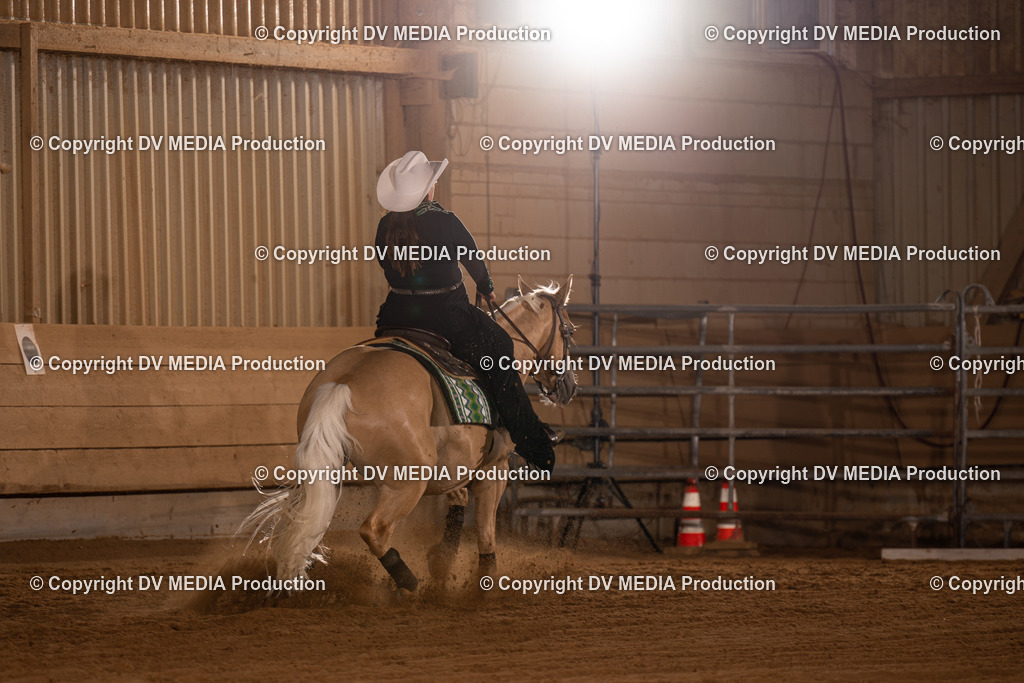 NID01100 | dv-media-shop - Realisiert mit Pictrs.com