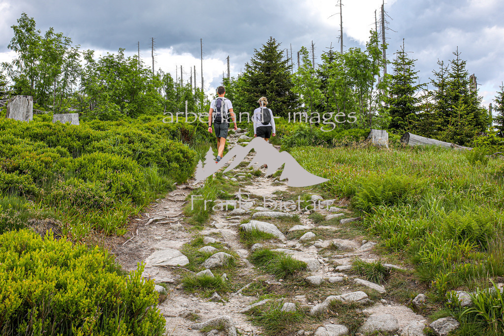 OE7A4031 | der Berg ist seit jeher Anziehungspunkt vieler Wanderer und Ausflügler. Der Grenzkamm Wanderweg im Dreiländereck