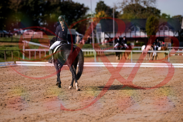 2026_10_03_Siefer-Hof_115659_Z81_97611903 | Professionelle Reitsport-, Turnier- und Eventfotografie von Robert Broda. Galerien mit ausgewählten und bearbeiteten Bildern direkt online ansehen und bestellen.