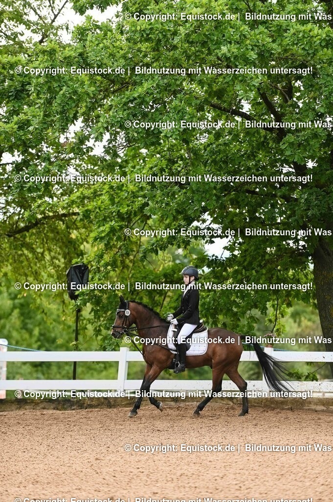 20230716_10-2_Reiter-WB Schritt - Trab - Galopp_0116 | equistock