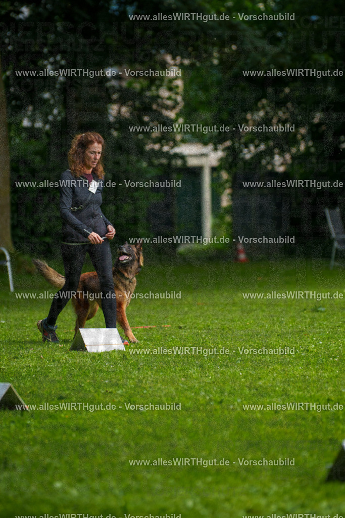 @allesWIRTHgut_Tierfotografie - www.allesWIRTHgut.de - 7R503681 | Professionelle Tierfotografie in Mönchengladbach von Daniel Wirth (allesWIRTHgut). Liebevolle & natürliche Bilder von Hunden & Katzen für unvergessliche Erinnerungen.